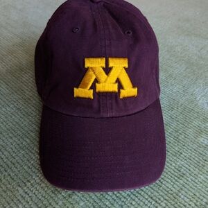 Minnesota Gophers Clean Up Cap